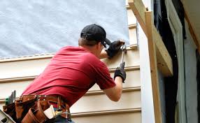 Best Custom Trim and Detailing for Siding  in Batavia, IL